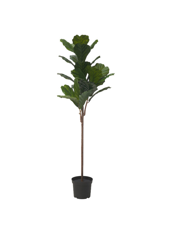 

FEJKA Artificial potted plant, in/outdoor fiddle-leaf fig, 19 cm