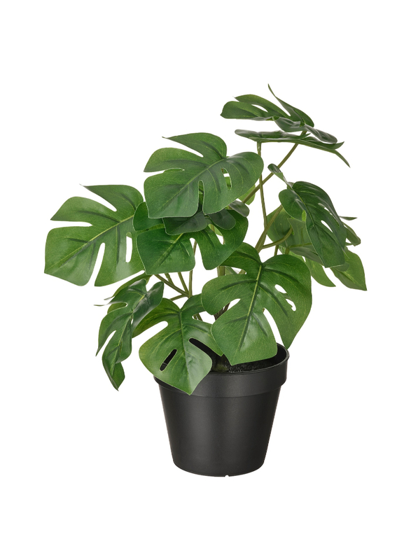 

FEJKA Artificial potted plant, in/outdoor Monstera, 12 cm