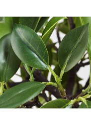 Artificial potted plant, in/outdoor/Weeping fig stem, 12 cm