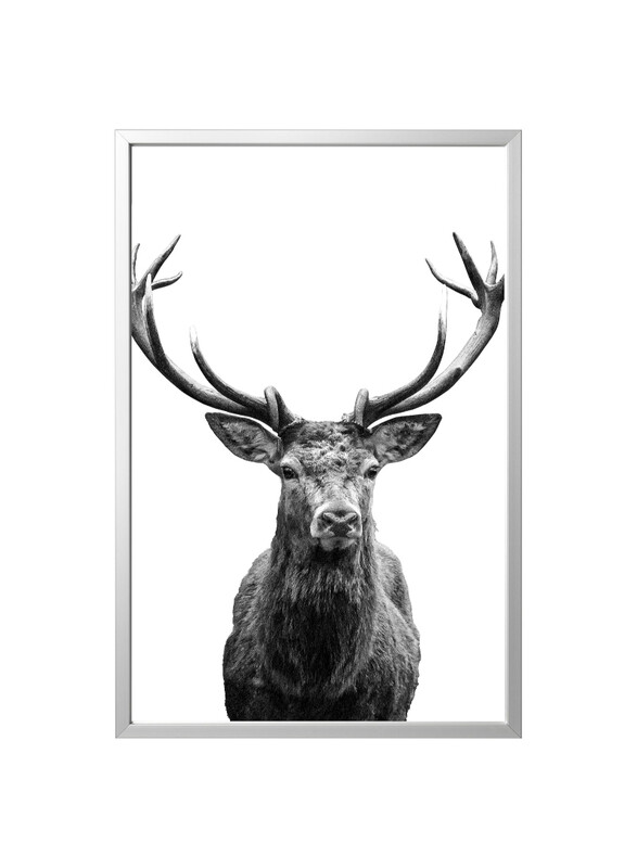 

Bjorksta Picture with frame, Horns/aluminium-colour, 78x118 cm