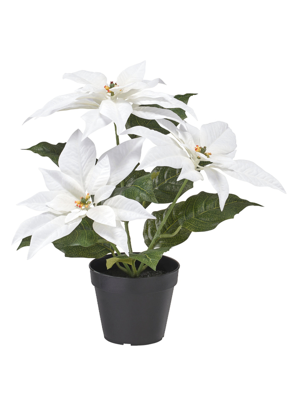 Artificial potted plant, in/outdoor Poinsettia/white, 12 cm