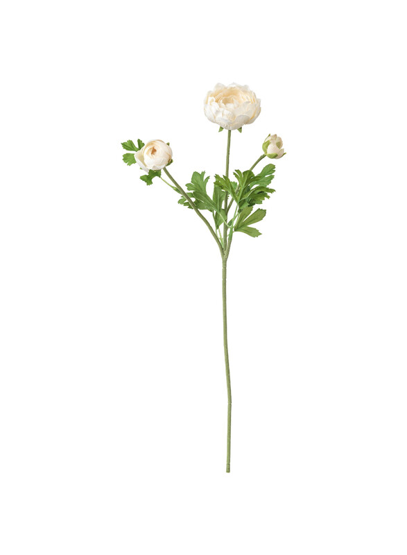 

Smycka Artificial flower, Ranunculus/white, 52 cm