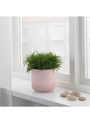 Plant pot, pink, 12 cm