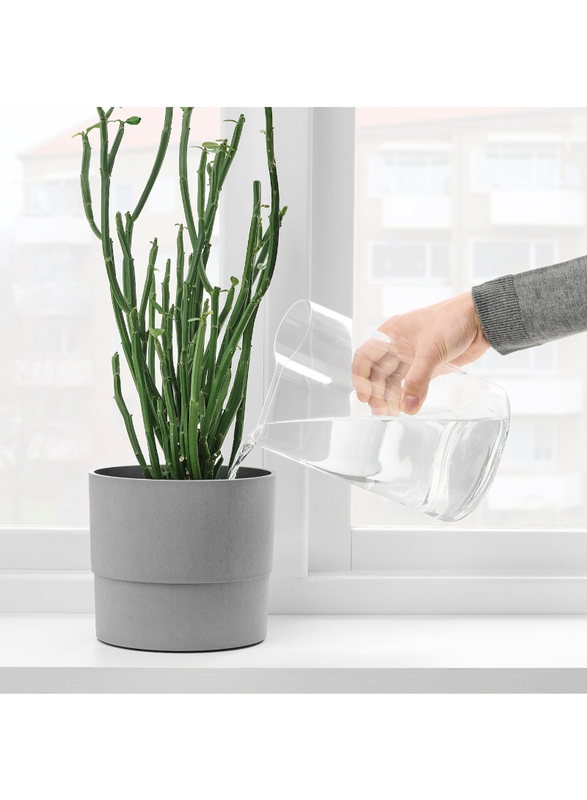 Vase/watering can, clear glass, 21 cm