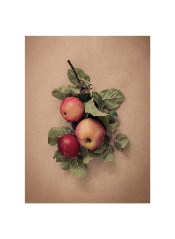 Picture, leaves with apples, 30x40 cm