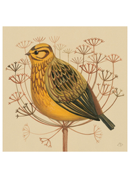 Picture, yellowhammer, 40x40 cm