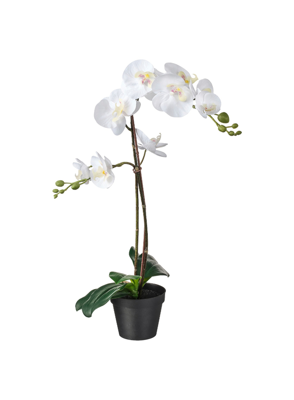 Artificial potted plant, Orchid white, 12 cm