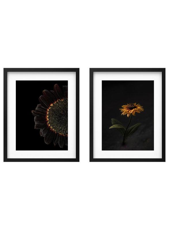 Frame with poster, sunflowers, 40x50 cm