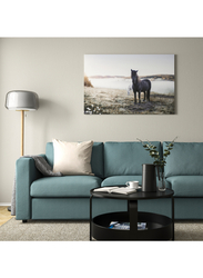 Picture with frame, grazing horses/aluminium-colour, 118x78 cm