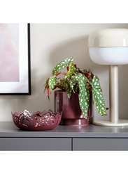 Decorative bowl, brown-red, 18 cm