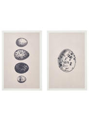 Art print on hollow wood, eggs, 20x30 cm