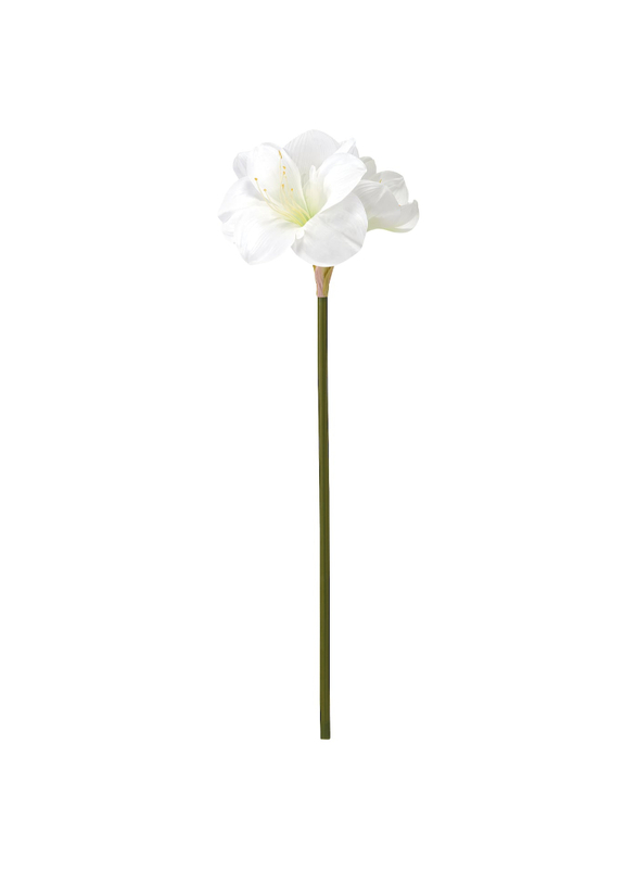 Artificial flower, in/outdoor/Amaryllis white, 60 cm