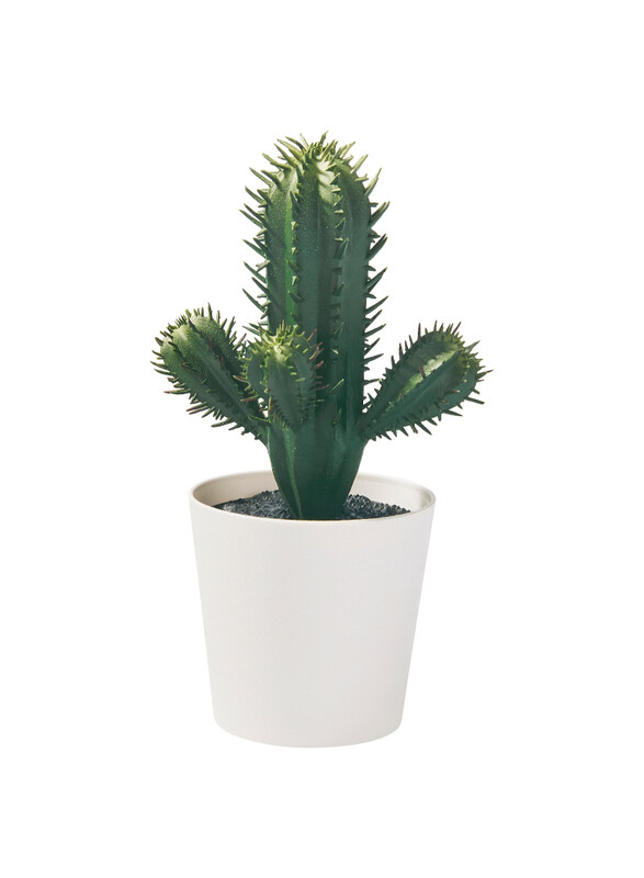 

FEJKA Artificial potted plant, in/outdoor Cactus, 6 cm