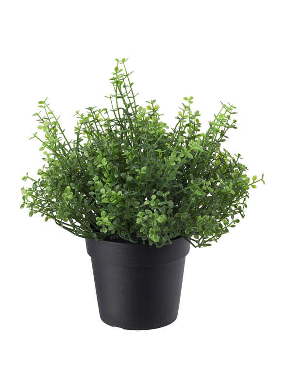 

FEJKA Artificial potted plant, in/outdoor Baby’s tears, 9 cm