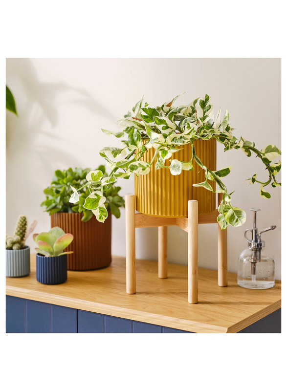 Plant stand, bamboo, 21 cm