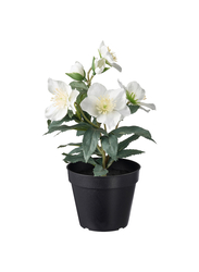 Artificial potted plant, in/outdoor Christmas rose, 12 cm