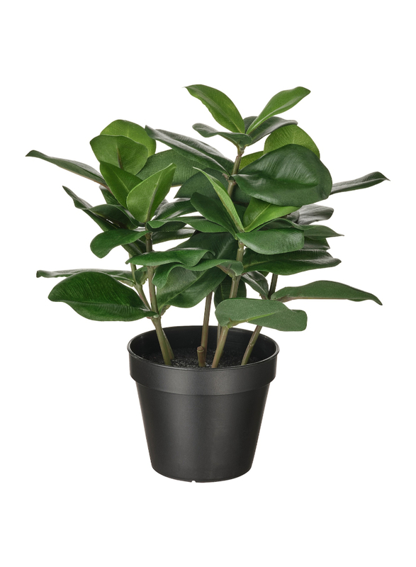 

FEJKA Artificial potted plant, in/outdoor Clusia, 12 cm