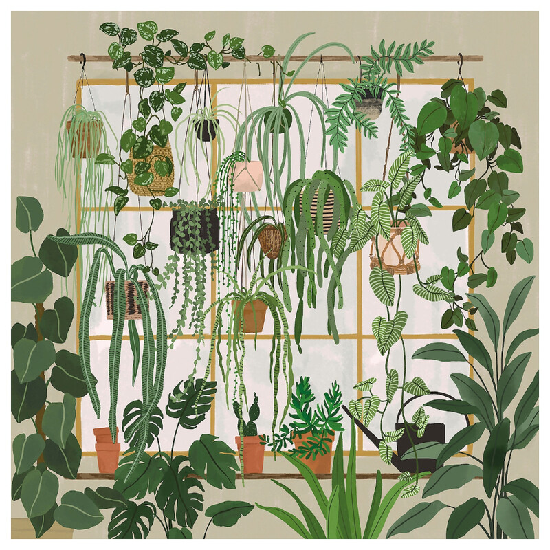 

Generic Picture Garden Shop Window 56X56cm