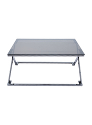 Vanity Living Nerano Stainless Steel Centre with Smoked Tempered Glass Top Coffee Table, 100cm, Silver