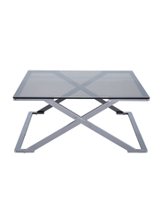 Vanity Living Nerano Stainless Steel Centre with Smoked Tempered Glass Top Coffee Table, 100cm, Silver