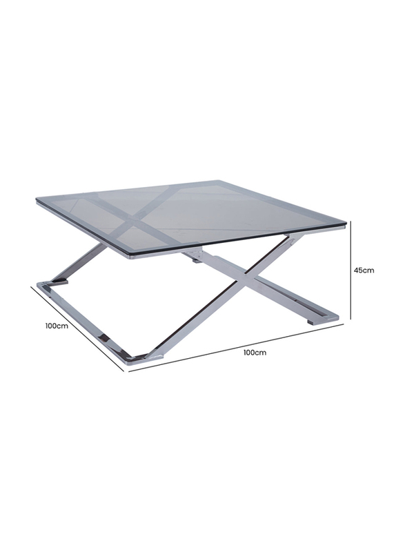 Vanity Living Nerano Stainless Steel Centre with Smoked Tempered Glass Top Coffee Table, 100cm, Silver