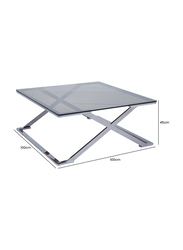 Vanity Living Nerano Stainless Steel Centre with Smoked Tempered Glass Top Coffee Table, 100cm, Silver