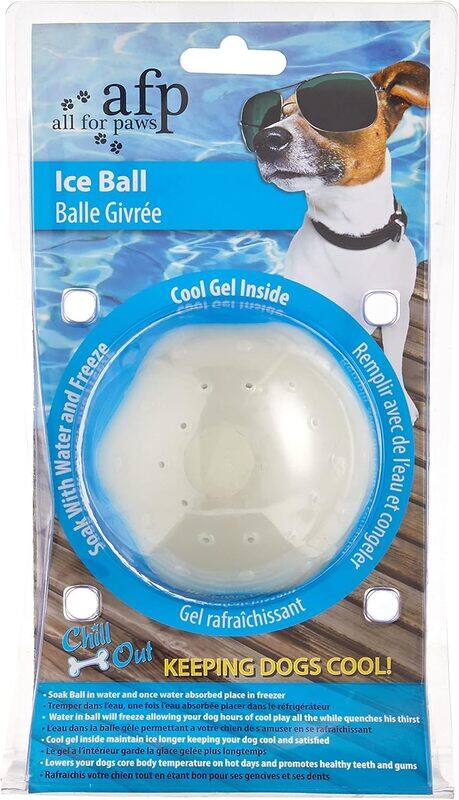 

All For Paws Chill Out Ice Ball Large