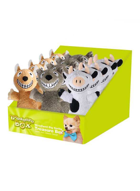 

All For Paws Woodland Big Smile Treasure Box Assorted 24pcs