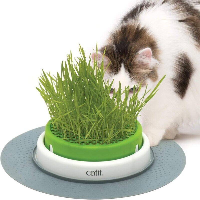 

Catit Senses 2.0 Grass Planter