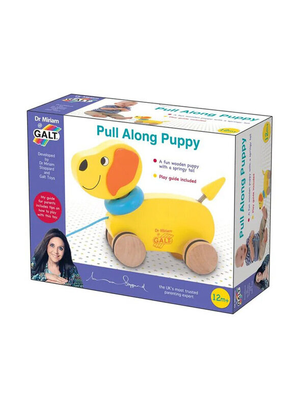 

Galt Pull Along Puppy, Multicolour