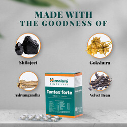 Himalaya Tentex Forte Capsule, 30 Capsules