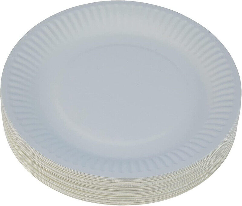 

Generic DISPOSABLE PAPER PLATES 7INCH, 100 PCS