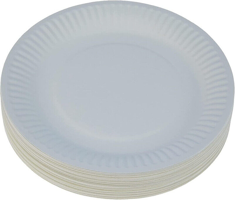

Generic DISPOSABLE PAPER PLATES 9INCH, 100 PCS