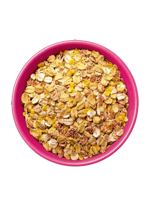 

Actibio Organic 5 Cereal Flakes, 500gm