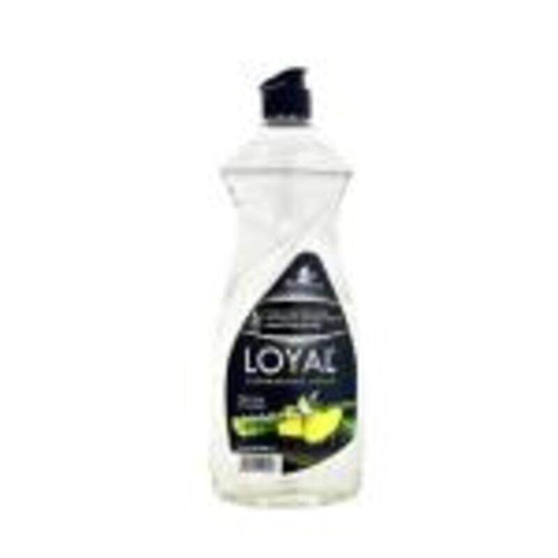 

Loyal Dishwashing Liquid, Aloe Vera And Avocado Scent - 700 ml x 12