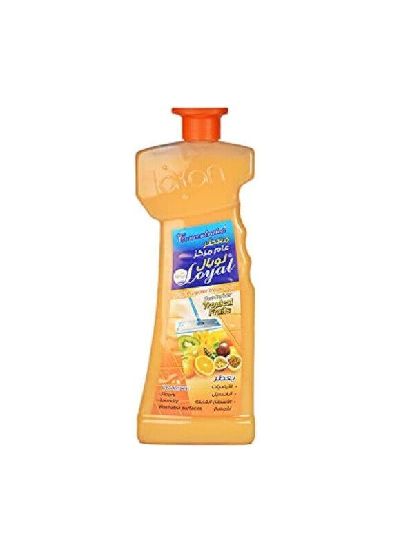

Loyal Multi-Purpose Household Deodorizer Concentrated Gel, Tropical Fruits Scent - 700 ml x 12