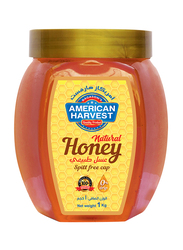 American Harvest Honey Hexa Jar, 1 Kg