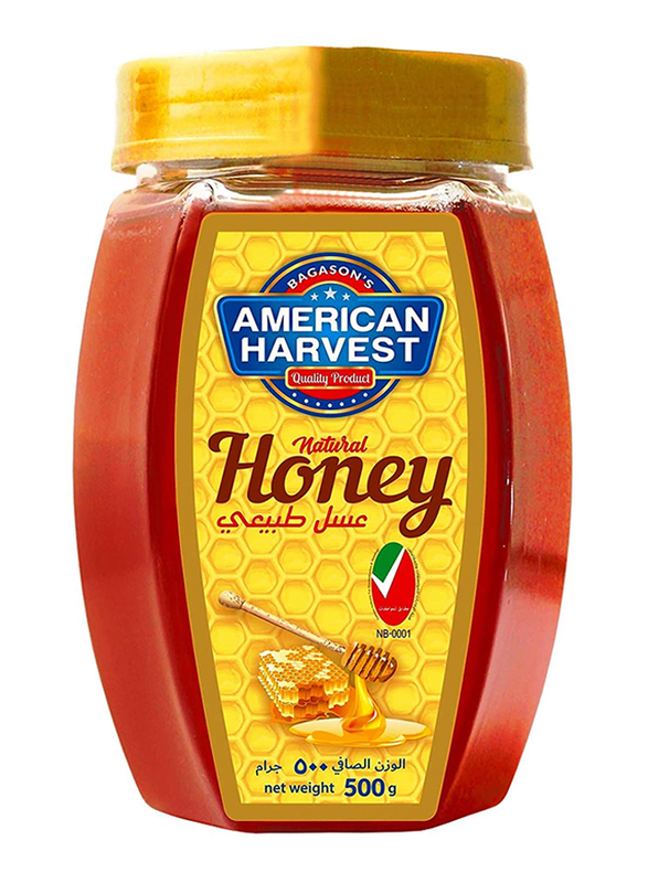 American Harvest Natural Honey Hexa Jar, 500g
