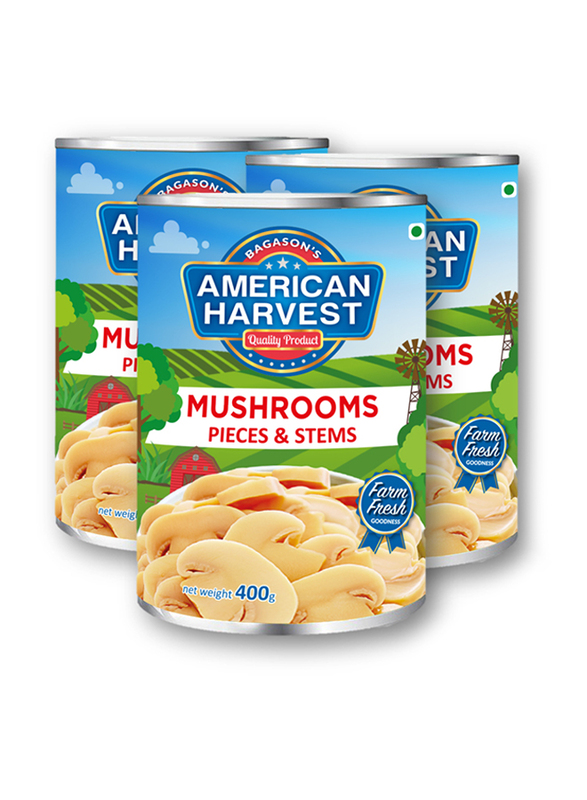 American Harvest Mushrooms Pieces & Stems, 3 x 400g