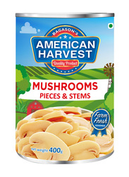 American Harvest Mushrooms Pieces & Stems, 400g