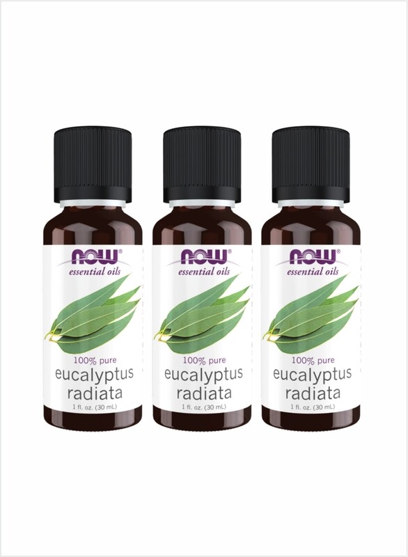 

NOW Eucalyptus Radiata Essential Oil Subtle Aromatic Relief, 30ml Pack of 3