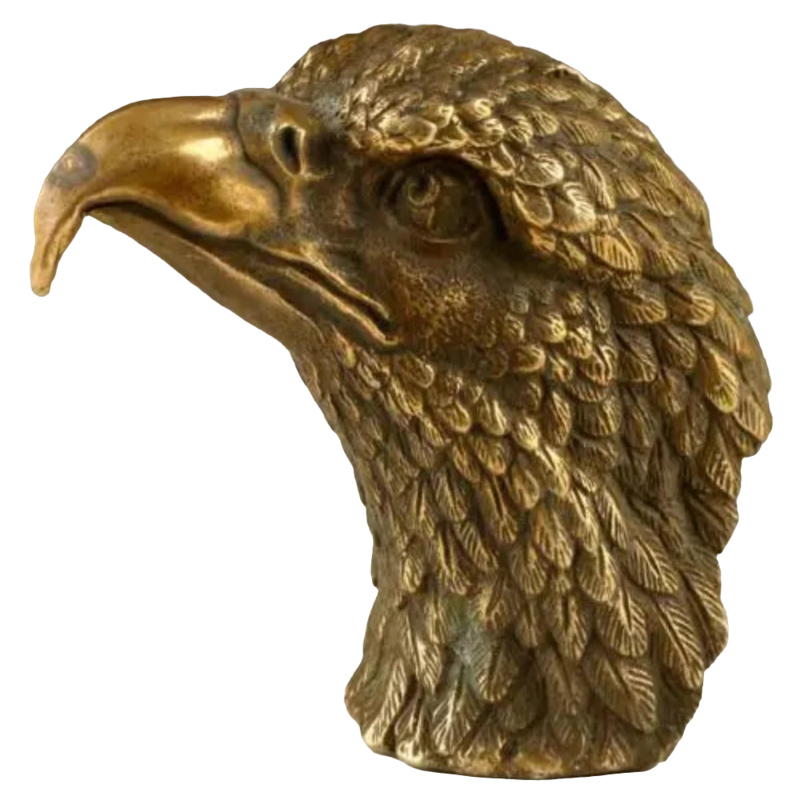 

House of Avana Bronze Gold Eagle Head Sculpture for Home Decoration