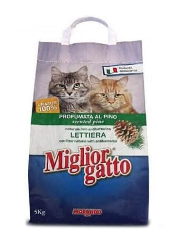 

Miglior Cane Gatto Cat Litter Scented Pine, 5 Kg, Multicolour