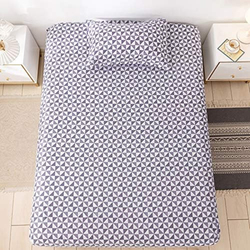 Aceir 2-Piece French Microfiber Printed Bedsheet Set, Double, Grey