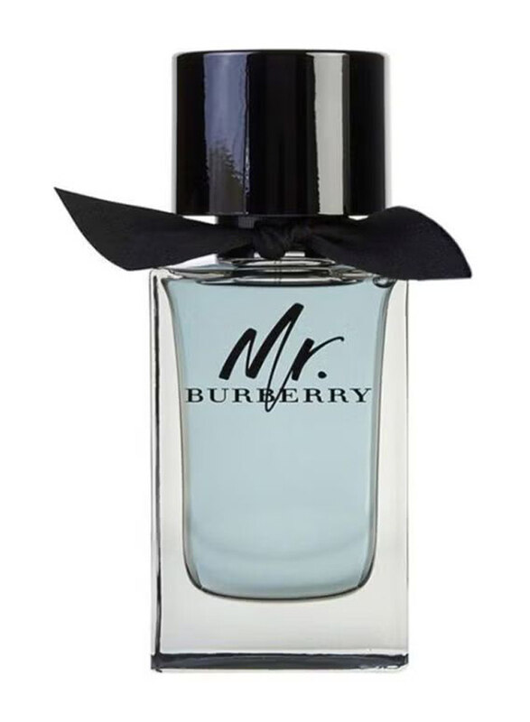 

Burberry Mr. Burberry 100ml EDT Perfume for Men