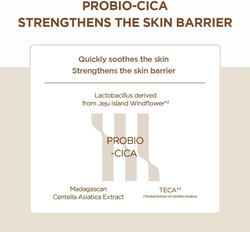 Skin1004 Madagascar Centella Probio-Cica Enrich Cream, 50ml