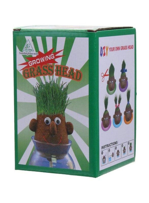 

Letbo Creative and Educational Growing Grass Head Craft, Ages 6+, Multicolour