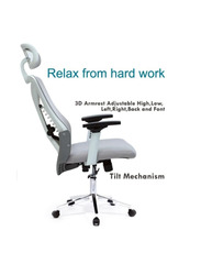 Karnak Ergonomic Mesh Office Desk Chair with Headrest & Lumbar Support Comfortable High, Light Grey