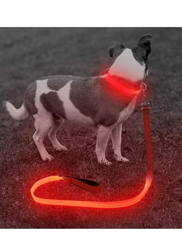 

As Seen On Tv Ultra High Night Visibility USB Rechargeable Flashing Pet Leash Glow in The Night, Large, Red