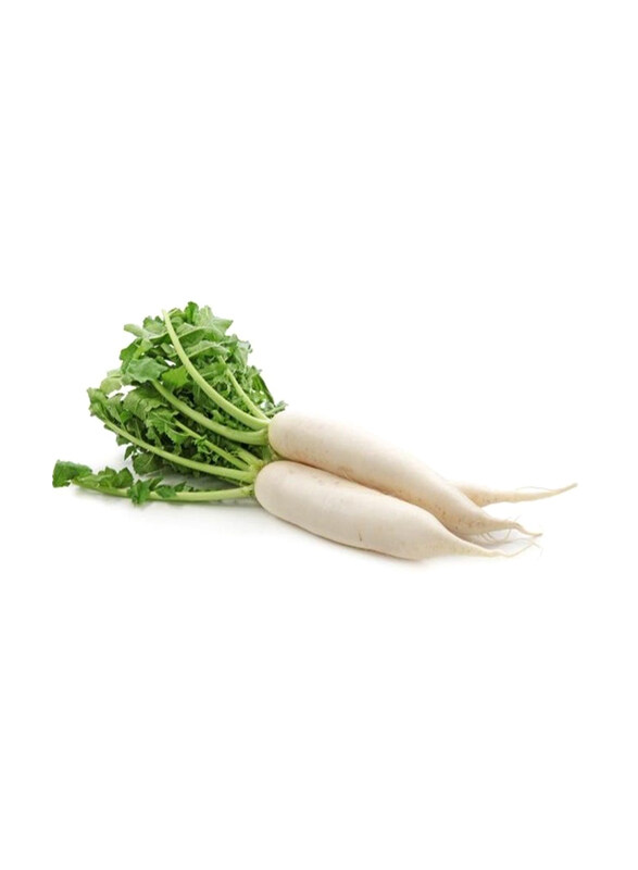 

Vsell24 Fresh & Crisp Harvest Radish Plant Seeds for Vibrant & Productive Garden, 3 Packs, Multicolour